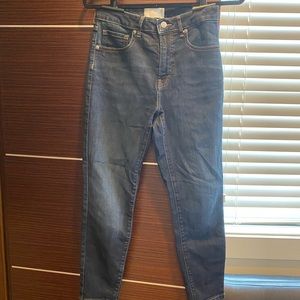 Everlane curvy skinny Jean